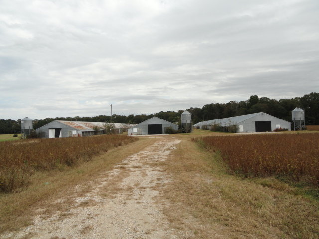 Image for Real Estate Auction - Poultry Farm