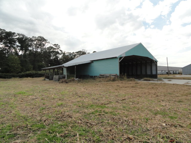 Image for Real Estate Auction - Poultry Farm