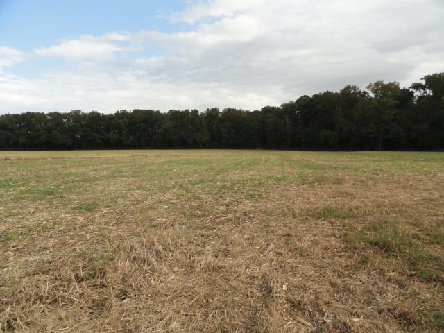 Image for Real Estate Auction - Poultry Farm