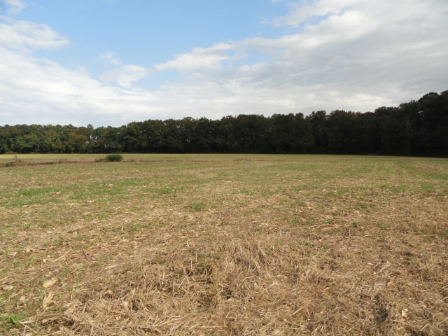 Image for Real Estate Auction - Poultry Farm