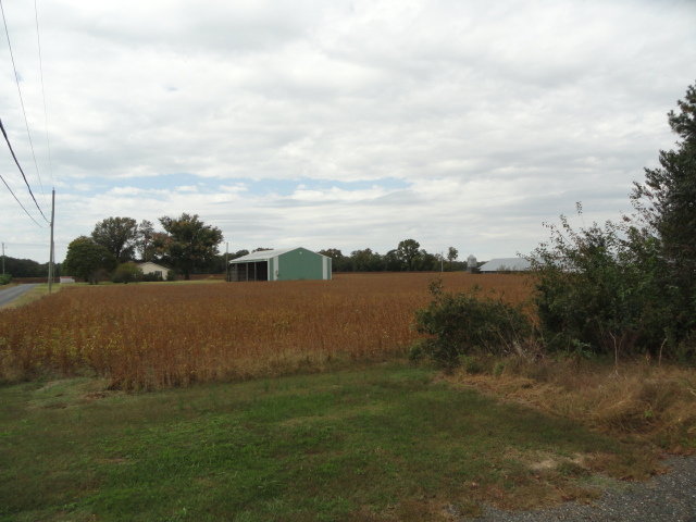 Image for Real Estate Auction - Poultry Farm