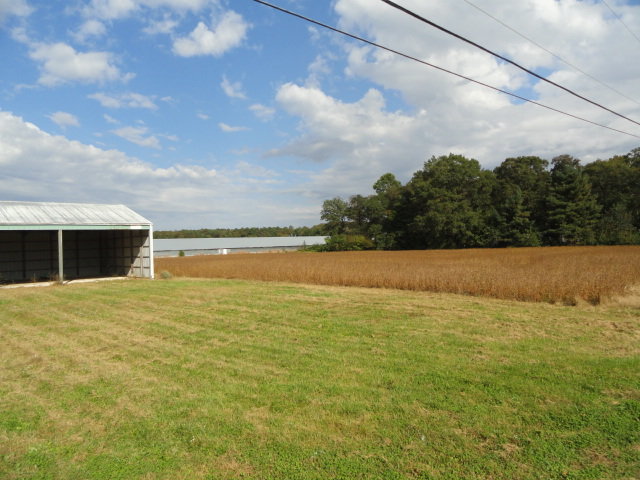 Image for Real Estate Auction - Poultry Farm