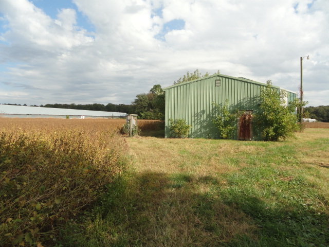 Image for Real Estate Auction - Poultry Farm