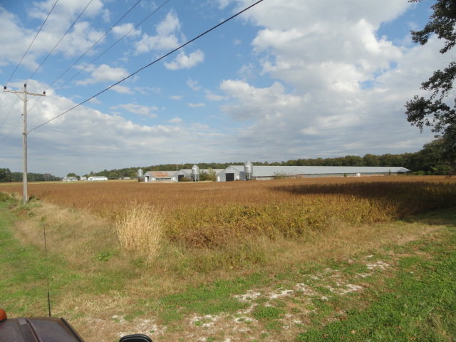 Image for Real Estate Auction - Poultry Farm