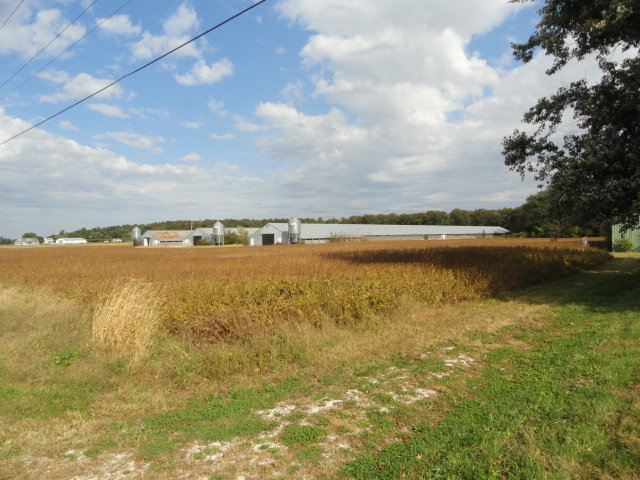 Image for Real Estate Auction - Poultry Farm