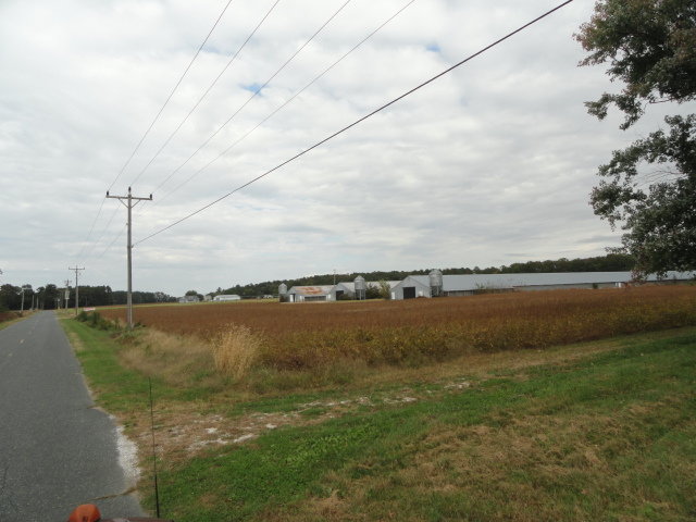 Image for Real Estate Auction - Poultry Farm