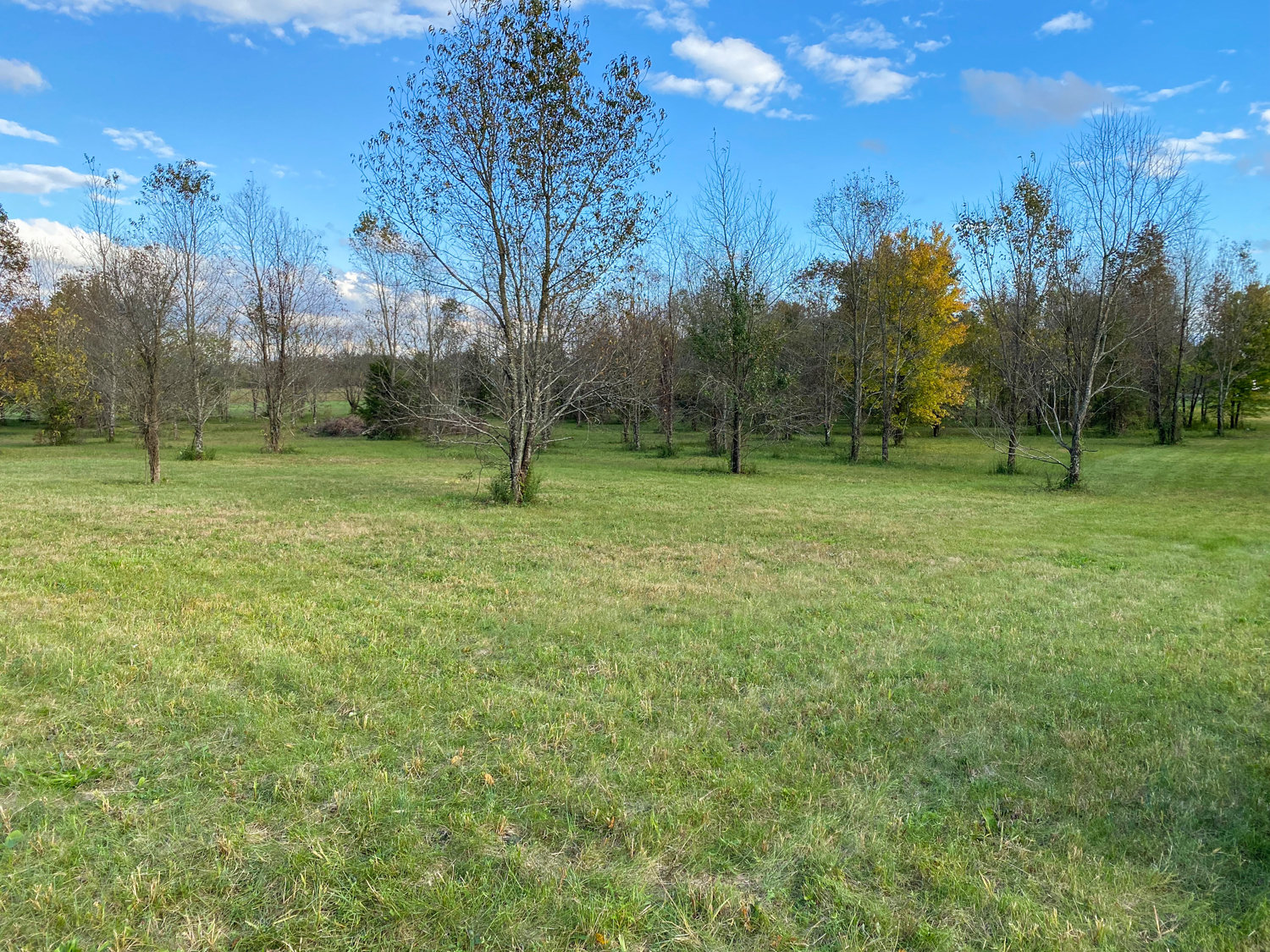 Image for Bradyville Pike, Murfreesboro