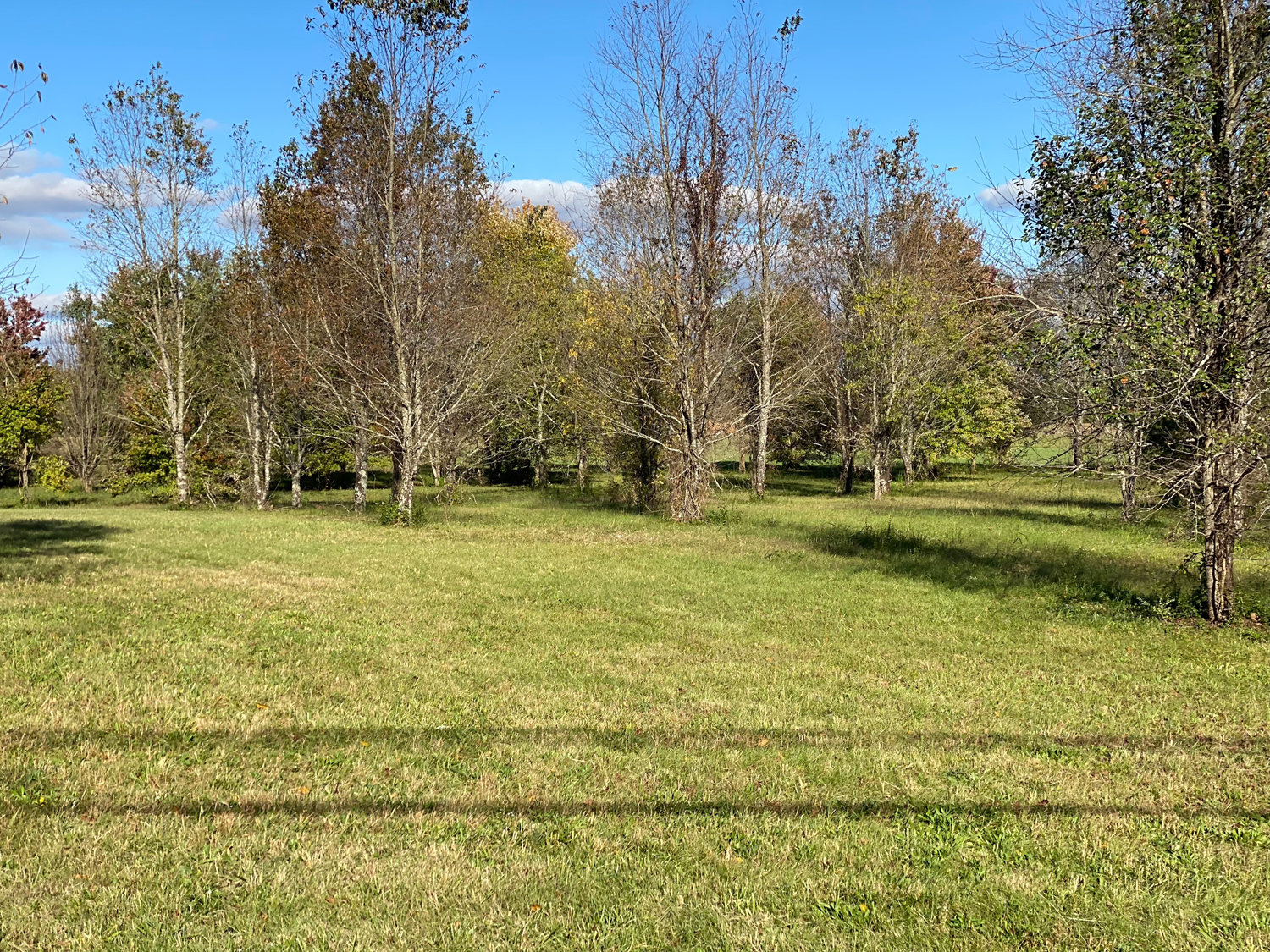 Image for Bradyville Pike, Murfreesboro