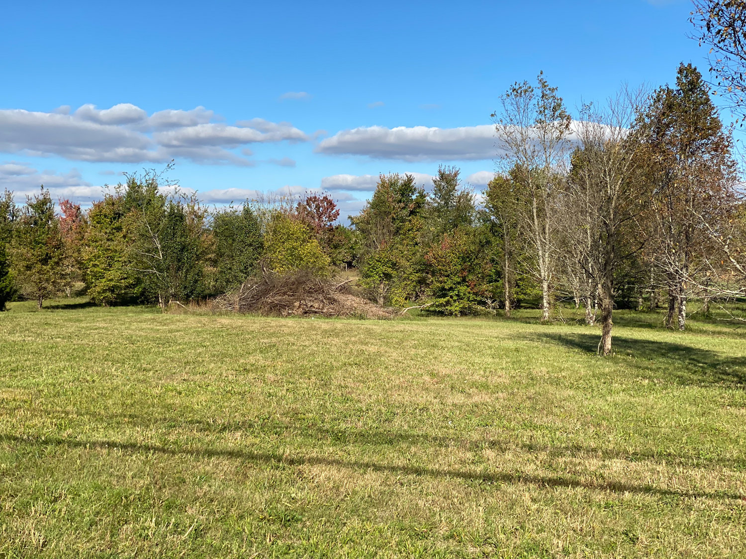 Image for Bradyville Pike, Murfreesboro