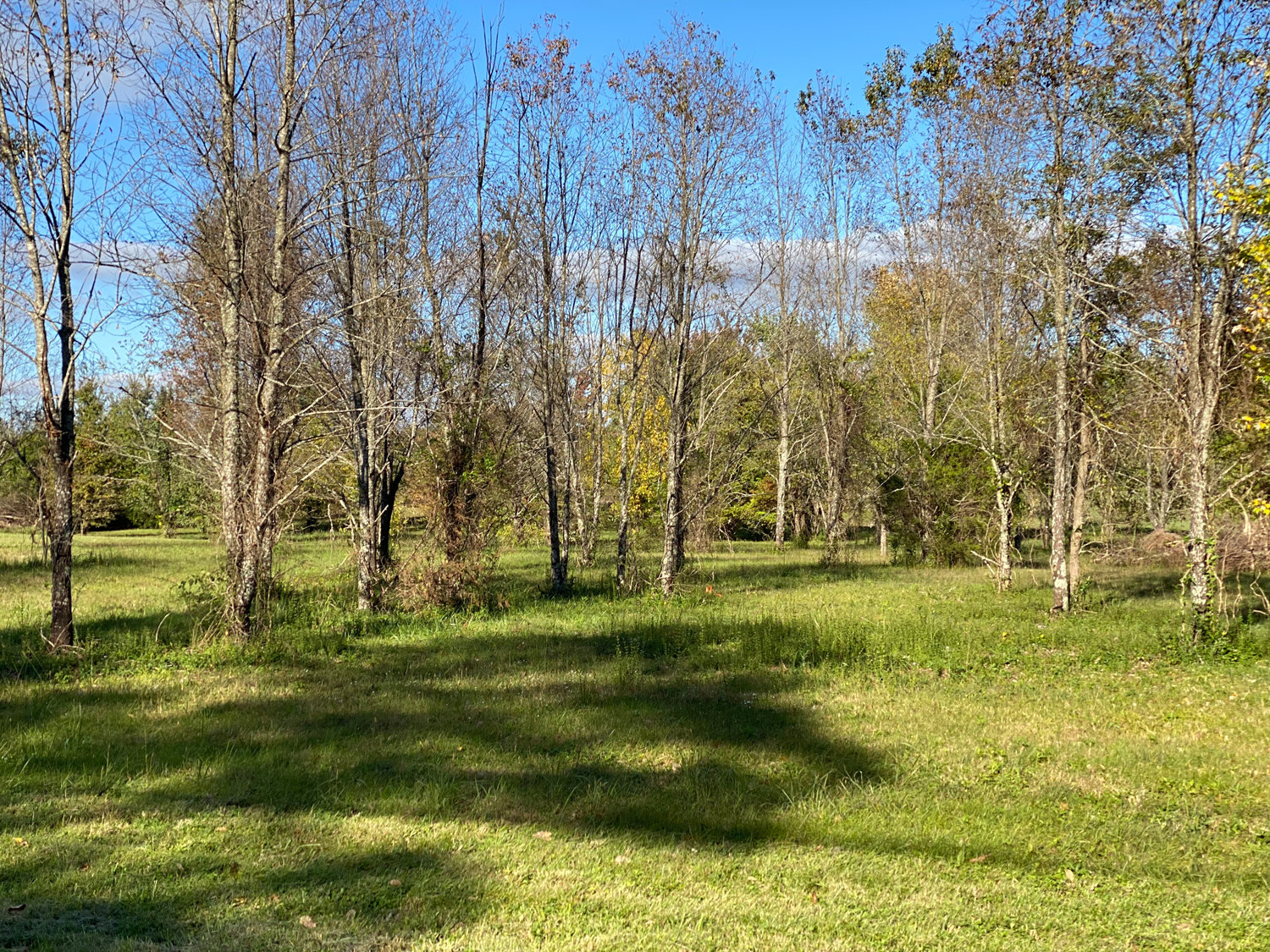 Image for Bradyville Pike, Murfreesboro