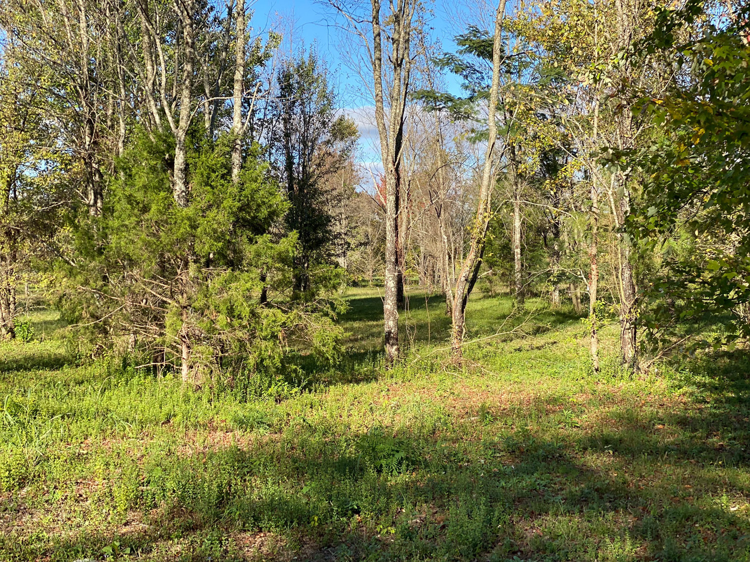 Image for Bradyville Pike, Murfreesboro