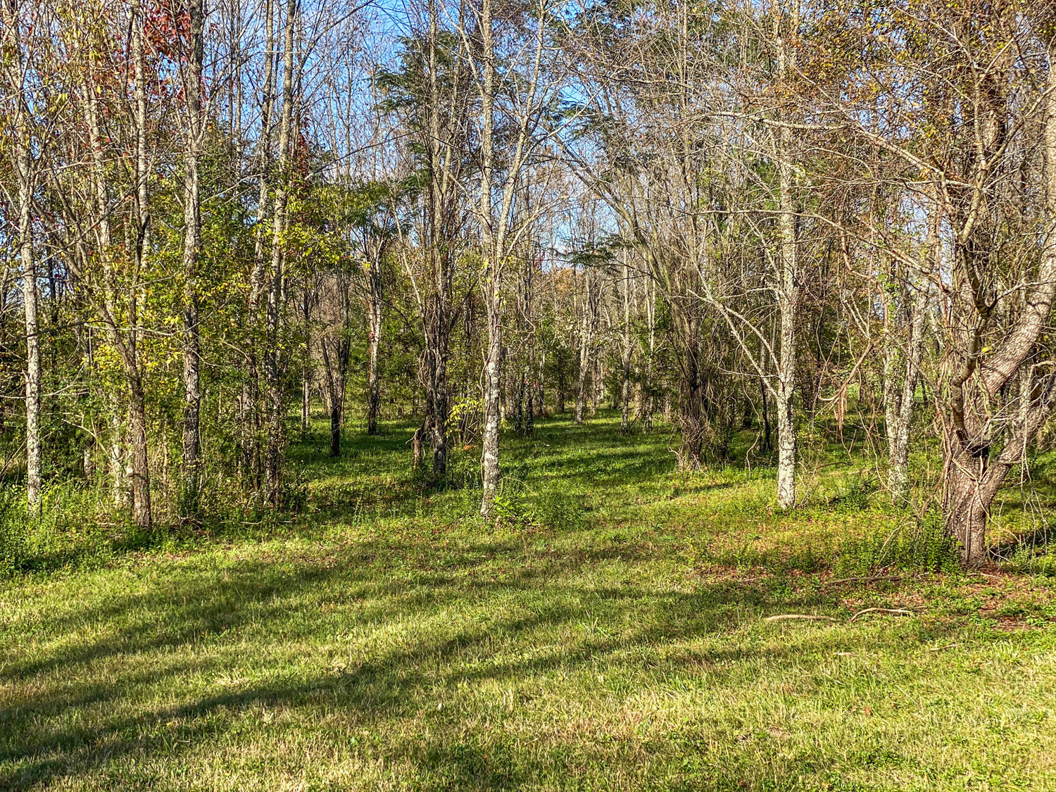 Image for Bradyville Pike, Murfreesboro