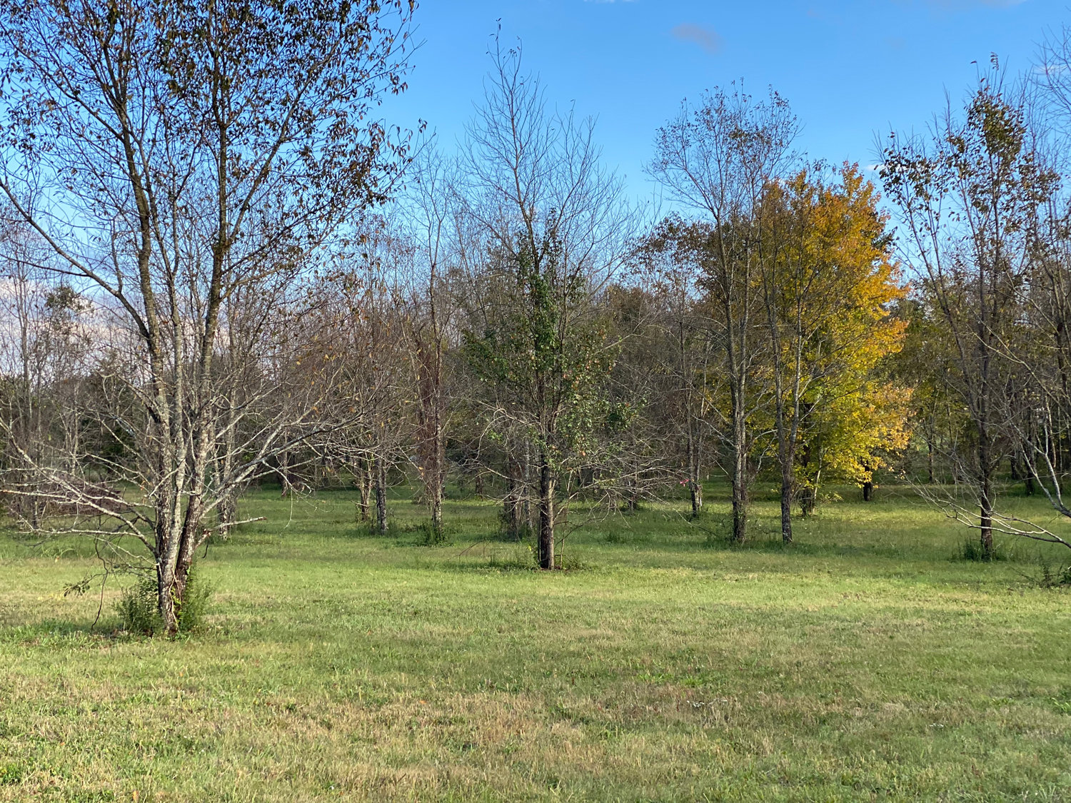 Image for Bradyville Pike, Murfreesboro