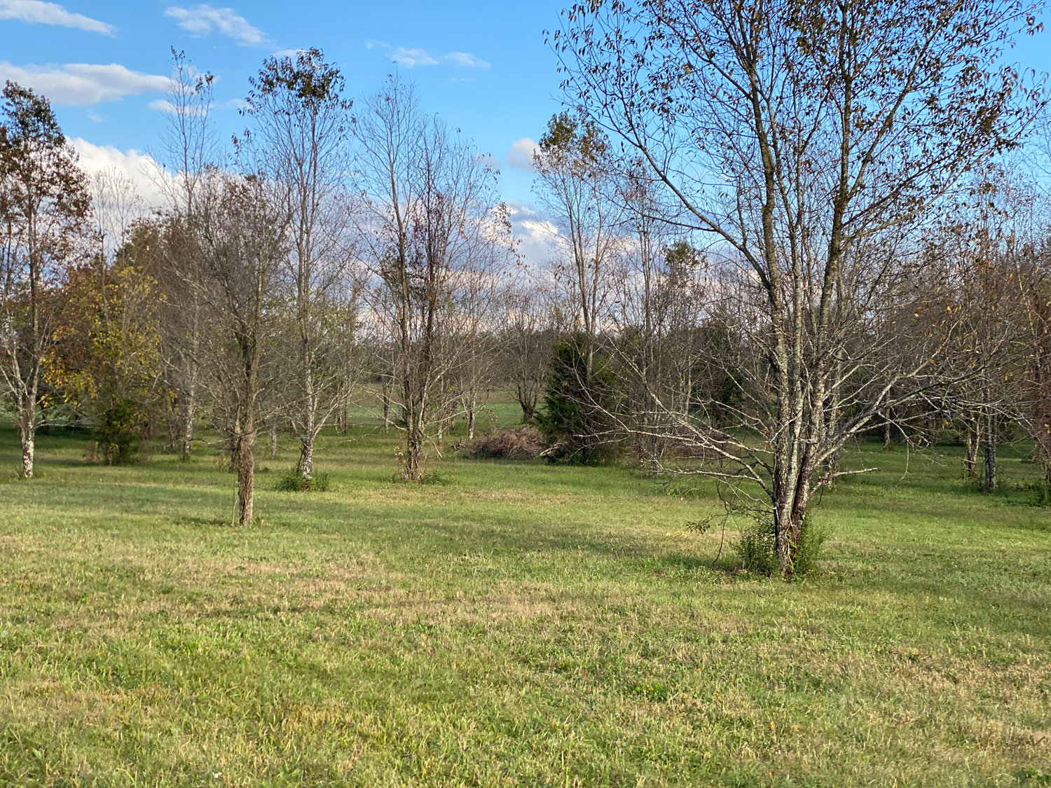 Image for Bradyville Pike, Murfreesboro