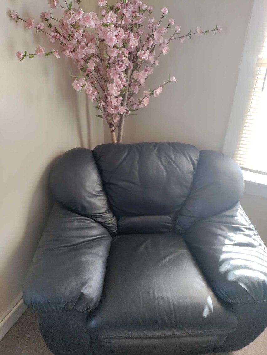 Image for Harley Motorcycles, DJ / Sound Equipment, Furniture, Decor - Online Auction