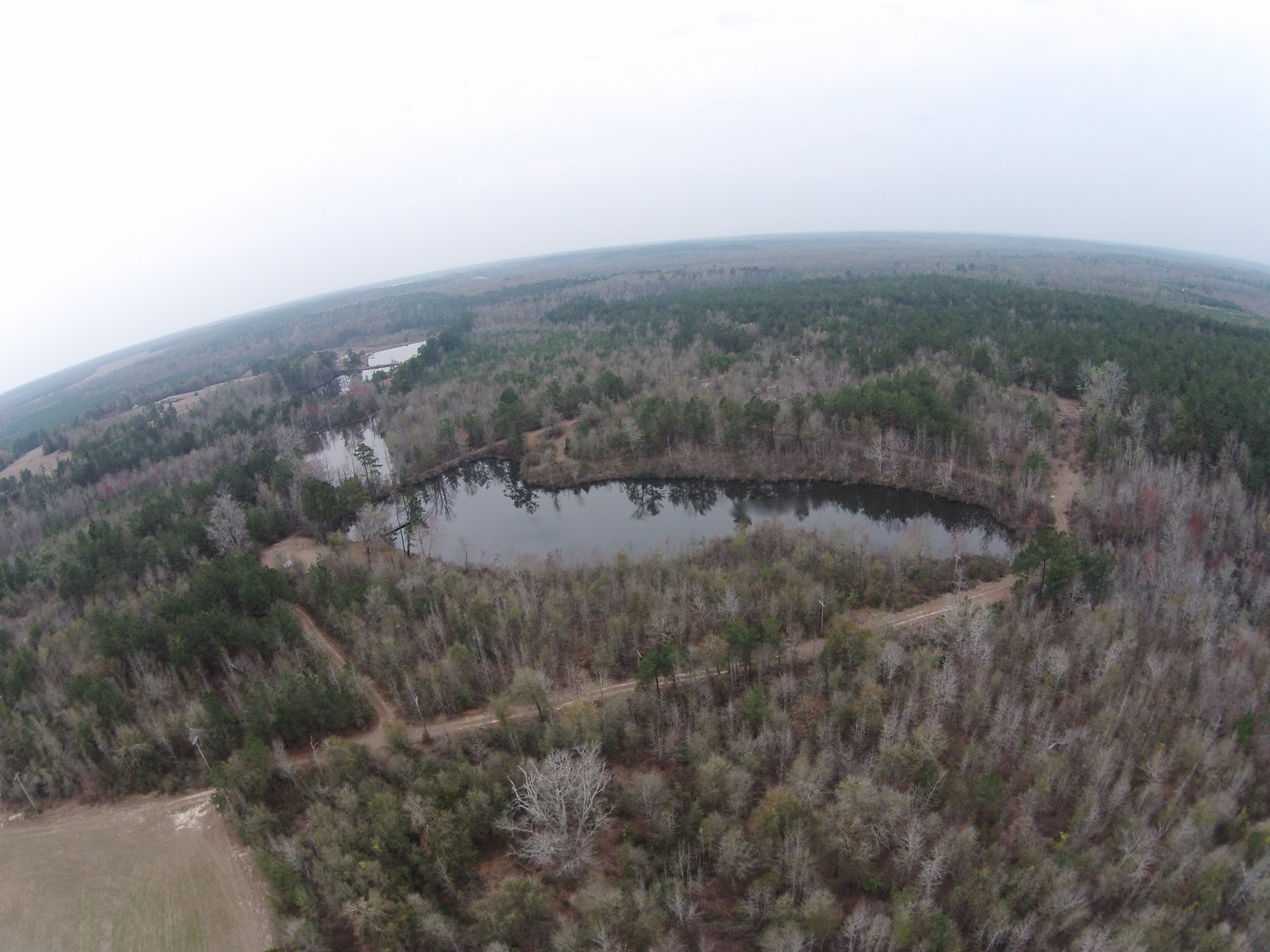 Image for ONLINE AUCTION ONLY - December 2, 2021