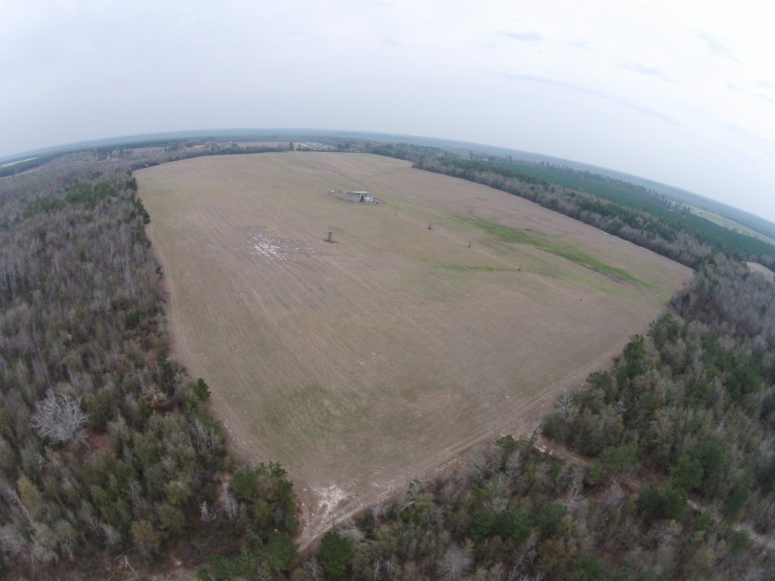 Image for ONLINE AUCTION ONLY - December 2, 2021