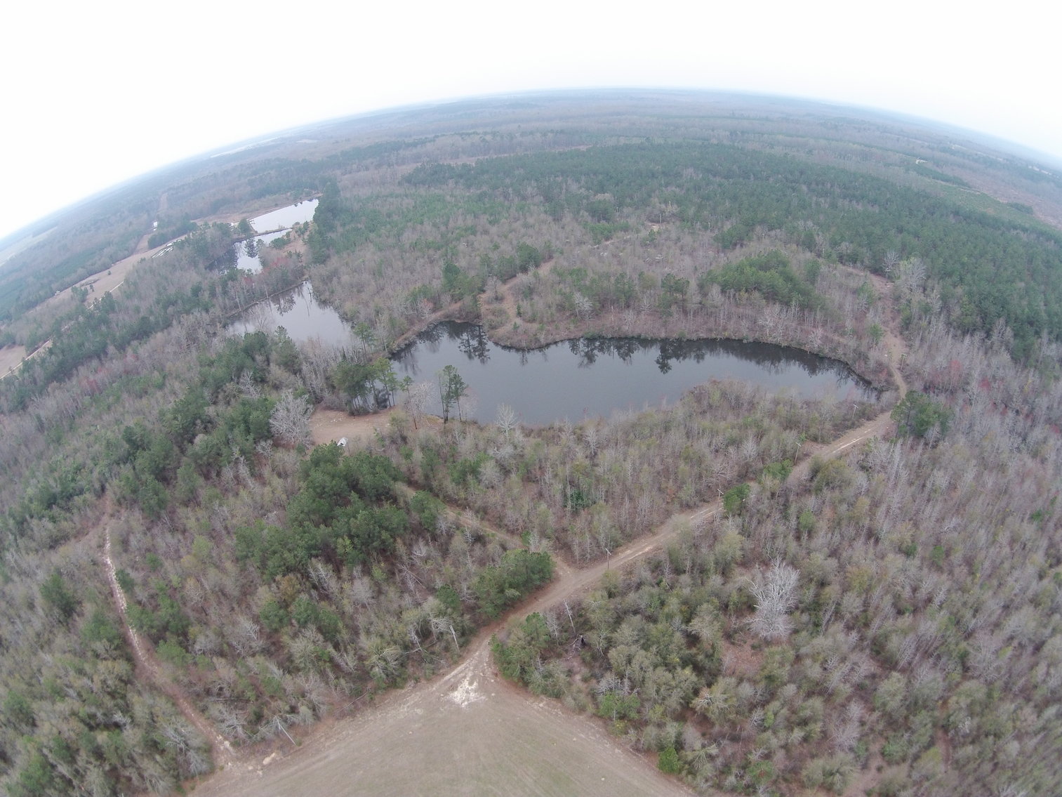 Image for ONLINE AUCTION ONLY - December 2, 2021