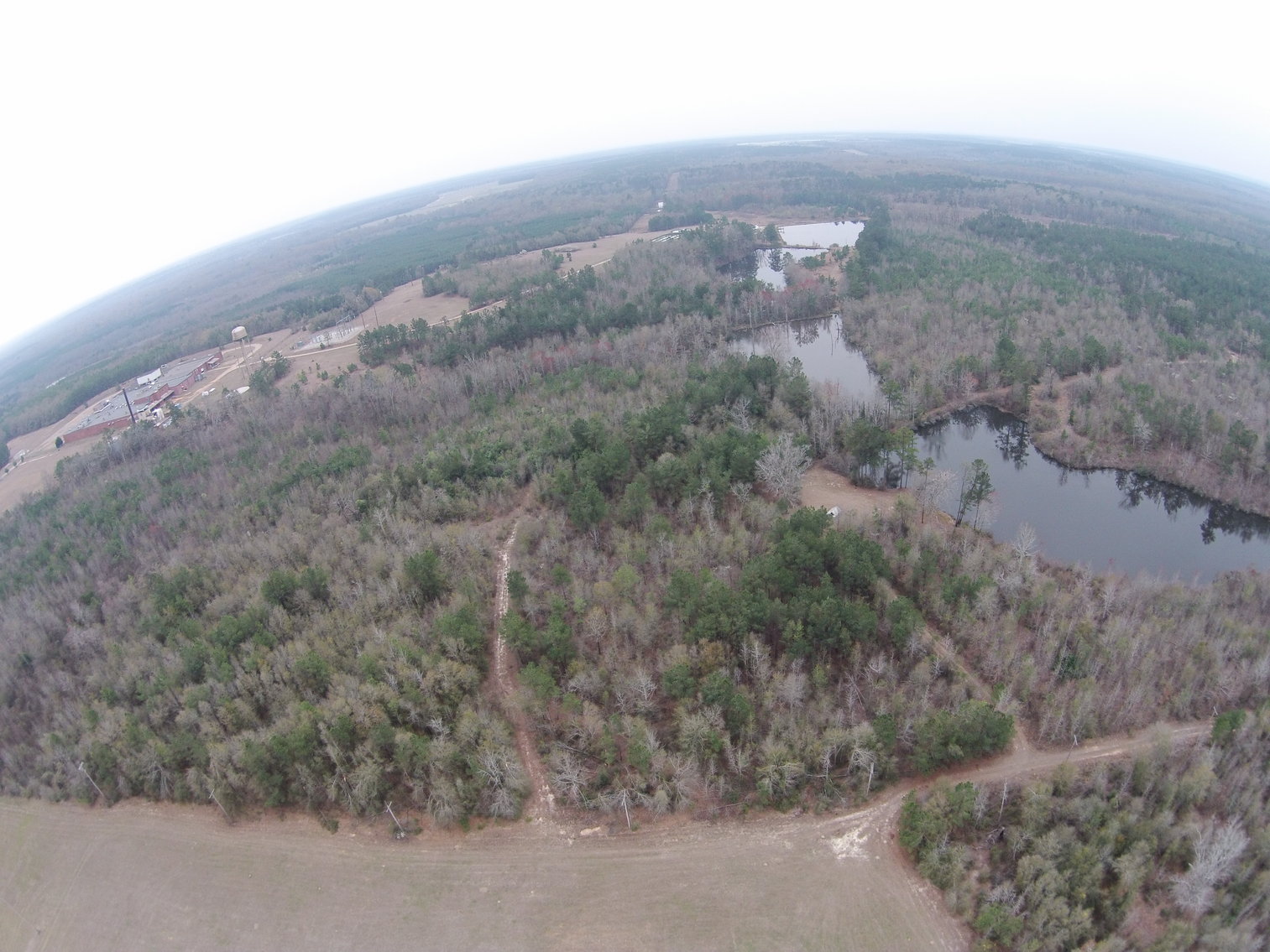 Image for ONLINE AUCTION ONLY - December 2, 2021