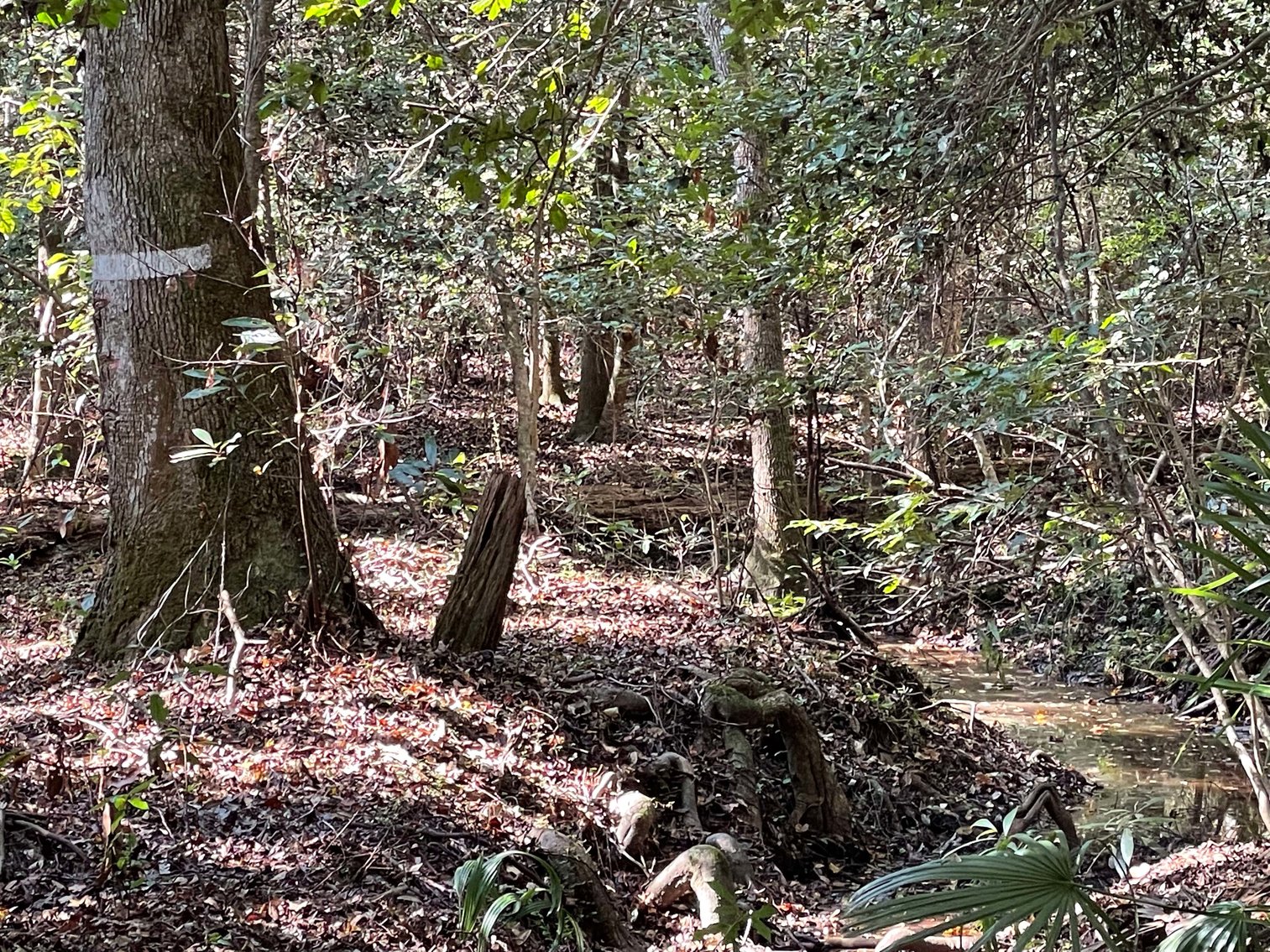 Image for ONLINE AUCTION ONLY - December 2, 2021