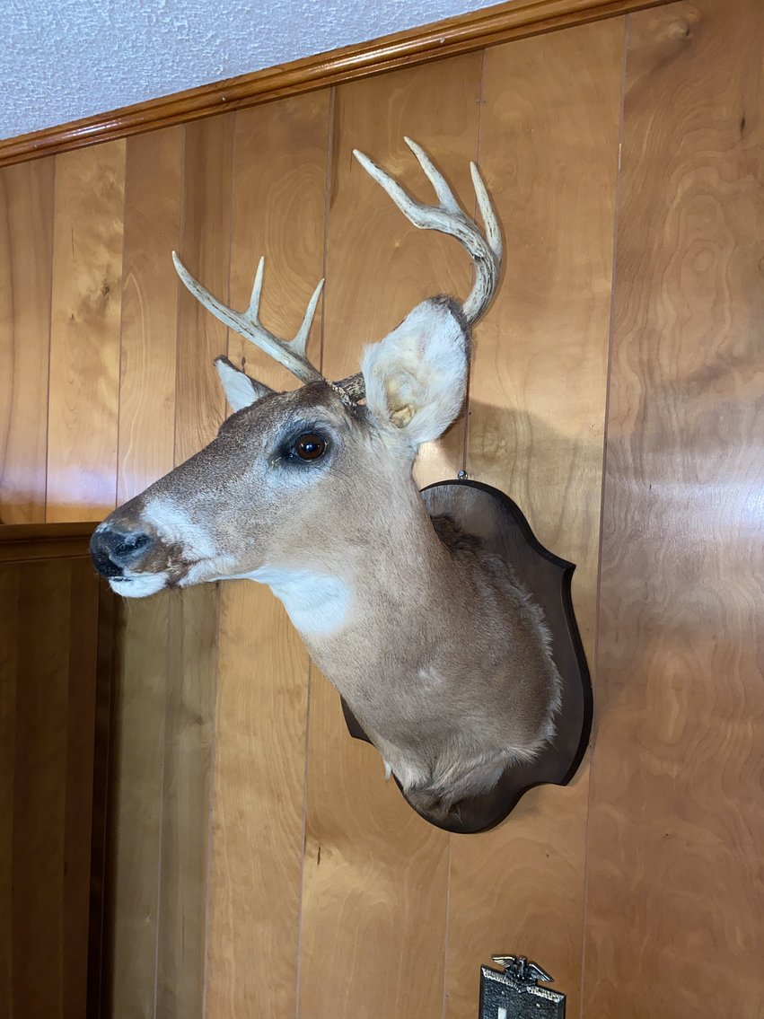 Image for Absolute Estate Auction