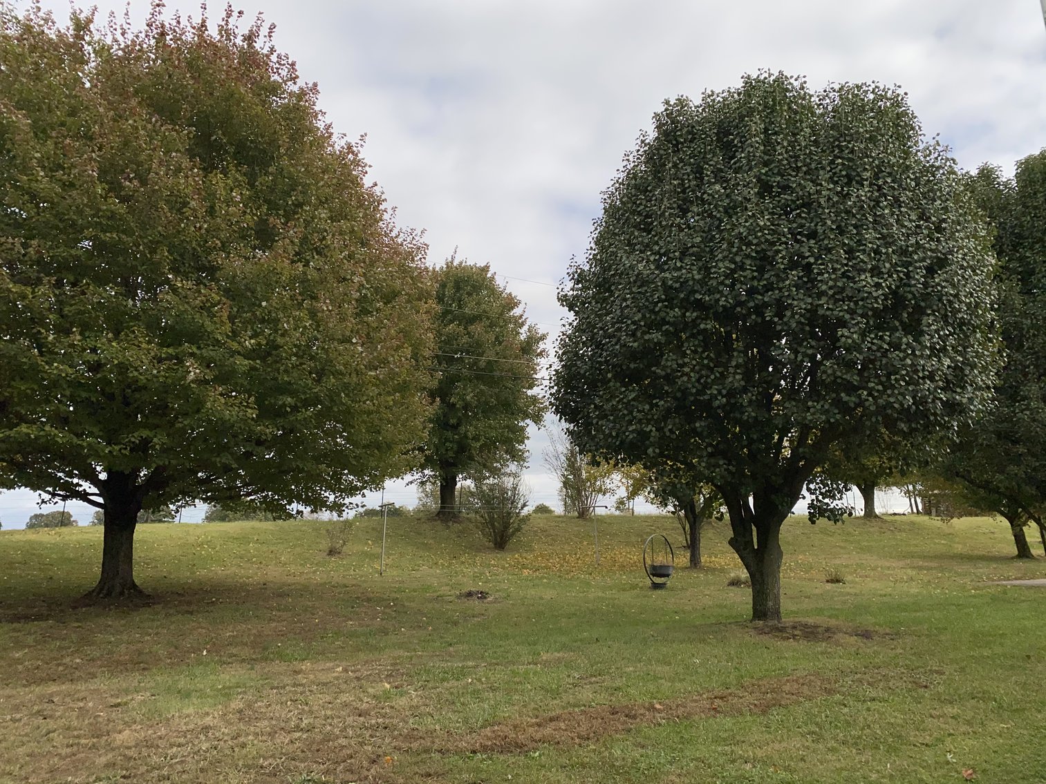 Image for Absolute Estate Auction