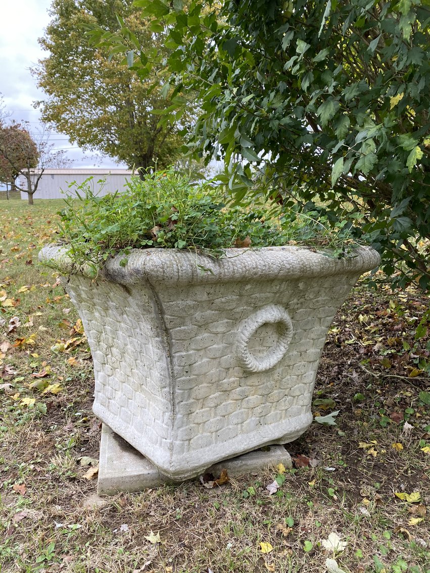 Image for Absolute Estate Auction