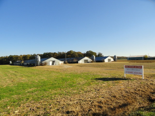 Image for Real Estate Auction - Poultry Farm