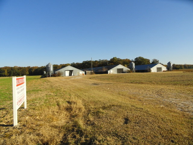 Image for Real Estate Auction - Poultry Farm