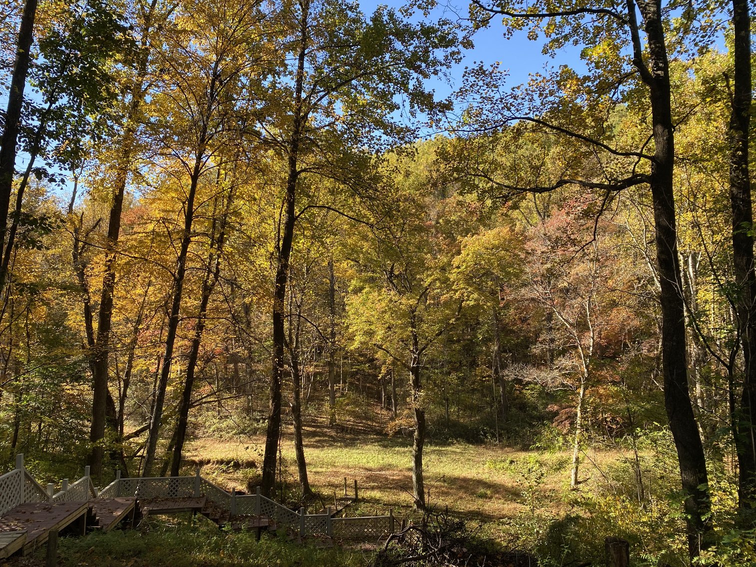 Image for Historic Charlottesville Mountain Home on 48 +/- AC - 2,204 SF - 2326 Stillhouse Creek Rd, Afton VA 22920