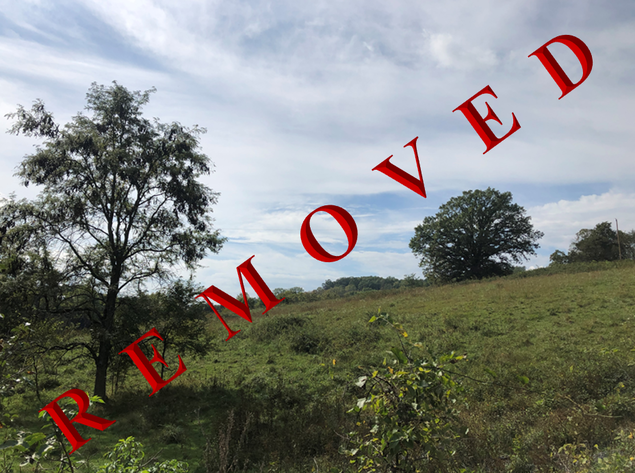 Image for Warren County VA Sale of Tax Delinquent Real Estate