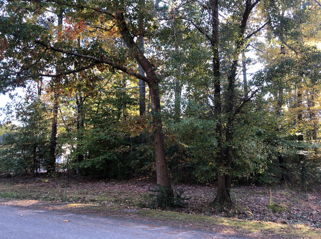 Image for James City County, VA Tax Delinquent Real Estate Sale