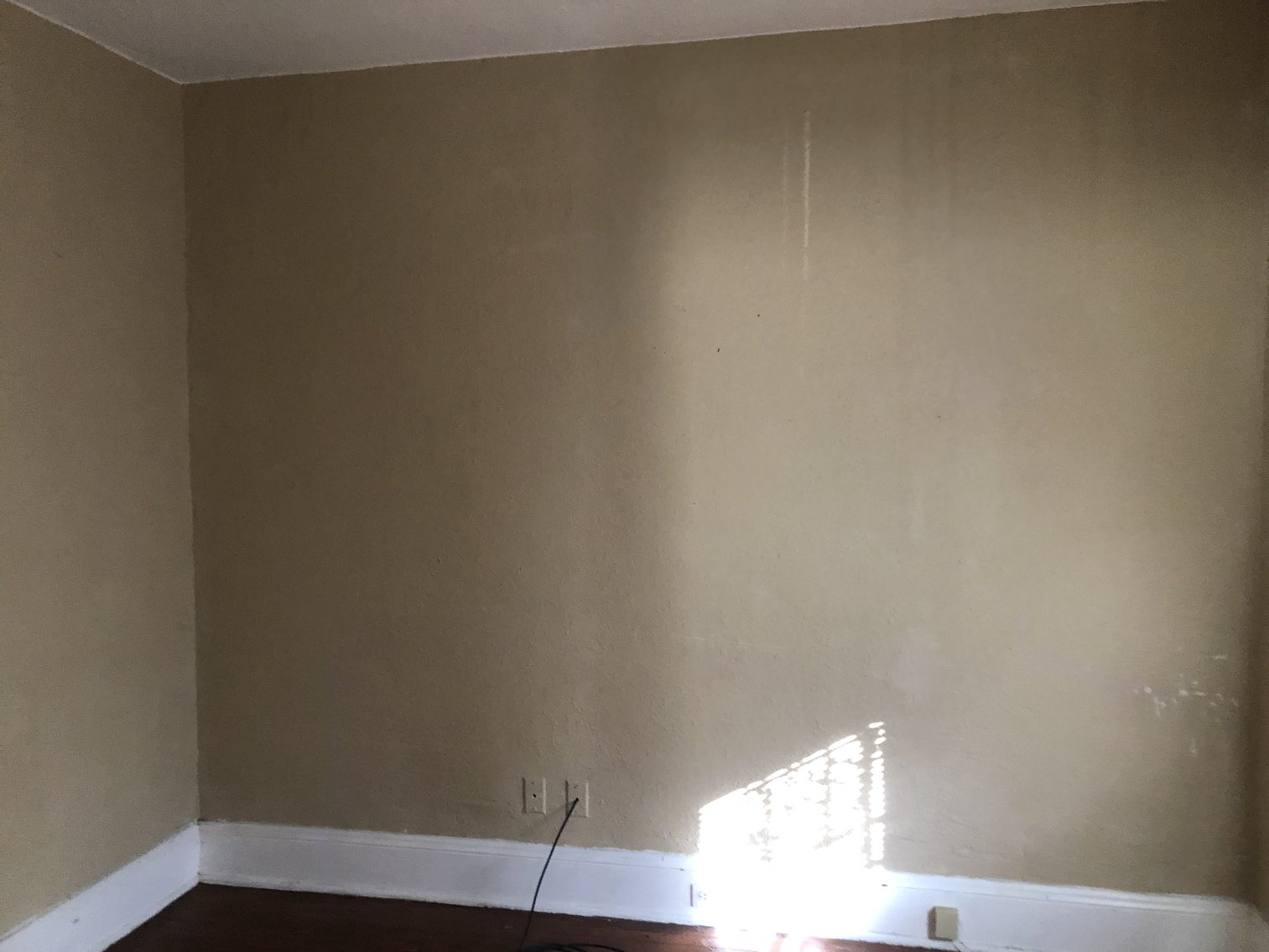 Image for 259 East Pearl Street, Toledo, Ohio 43608