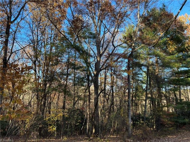 Image for 8 Acres with House and Mobile Home in Thurmond, NC