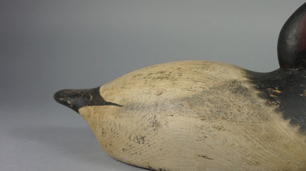 Image for November Online Sportsman's Auction 2021