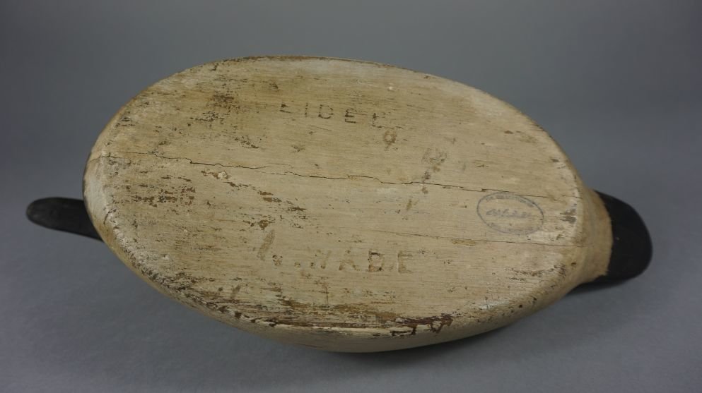 Image for November Online Sportsman's Auction 2021