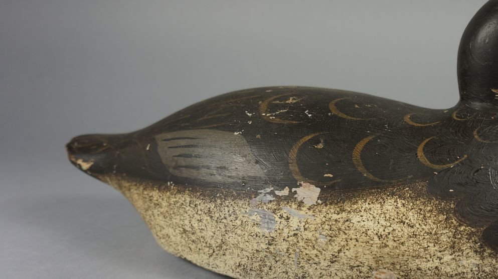 Image for November Online Sportsman's Auction 2021