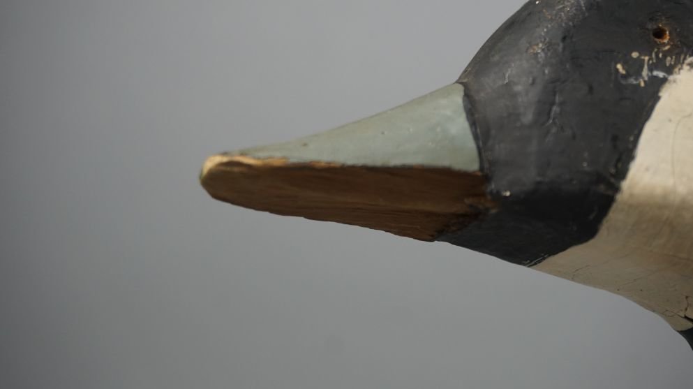 Image for November Online Sportsman's Auction 2021