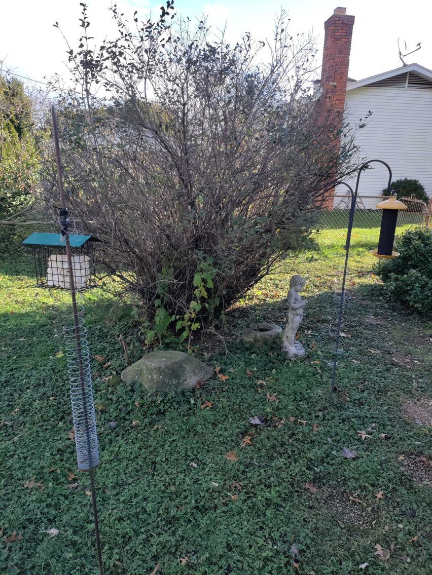 Image for Dussel Drive, Maumee - Furniture, Kitchenware, Cast Iron, Sewing Machine, Tools, Home Decor (Dussel)