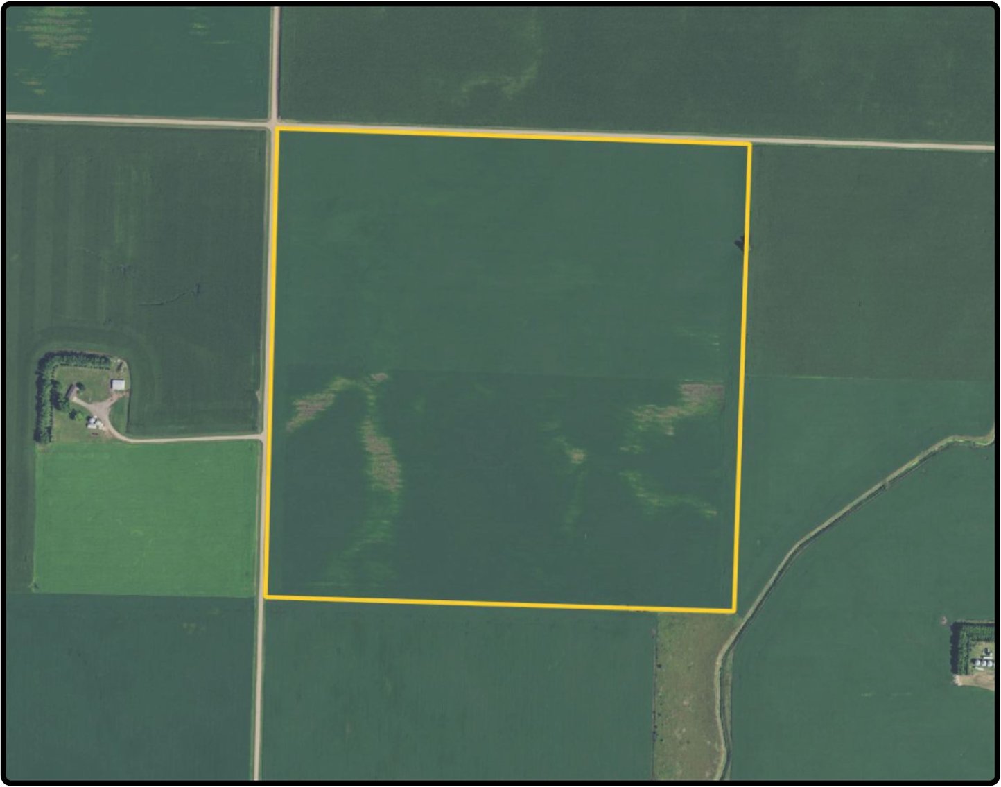 Renville, MN 160.00 Acres, m/l (190007601)