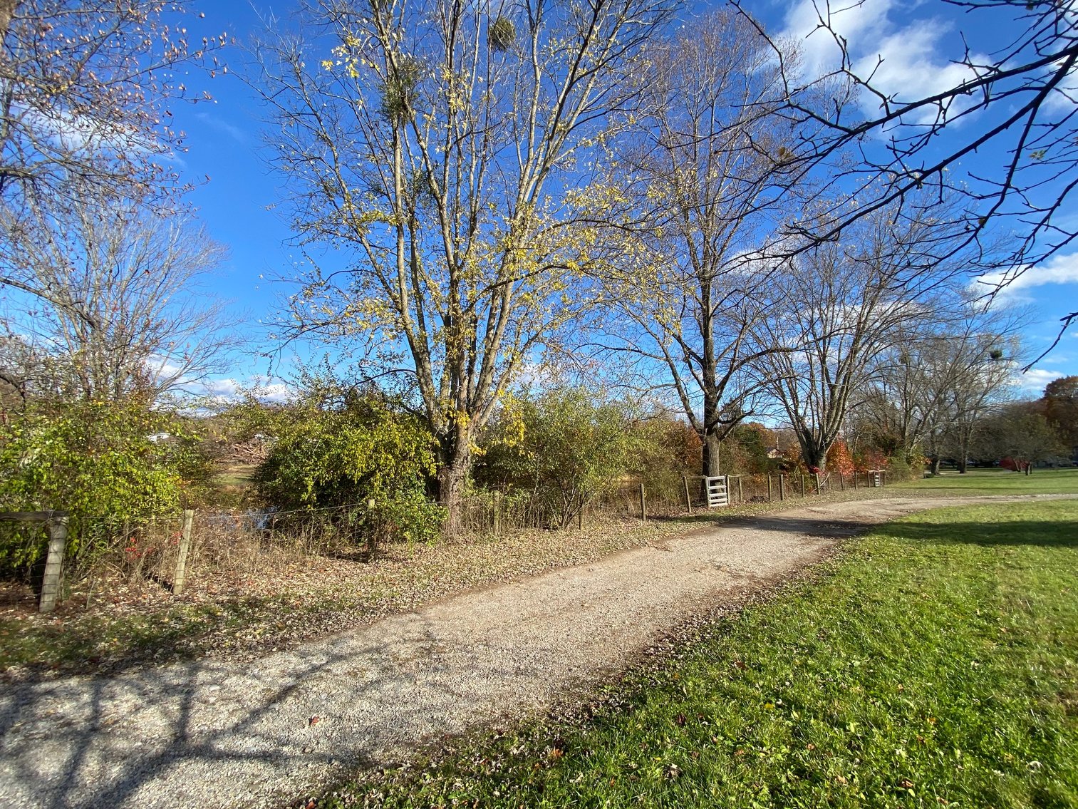 Image for SOLD $165,000 - 28 Acres with 3-Bedroom Home, Barn, & Pond