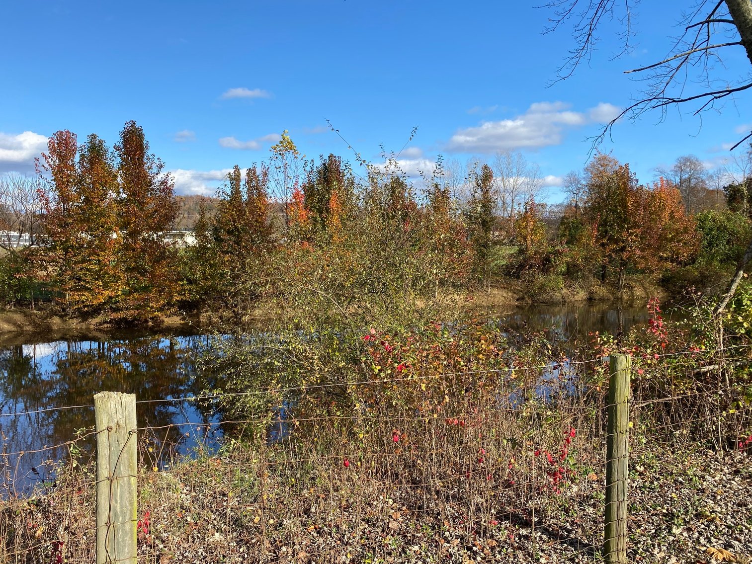 Image for SOLD $165,000 - 28 Acres with 3-Bedroom Home, Barn, & Pond