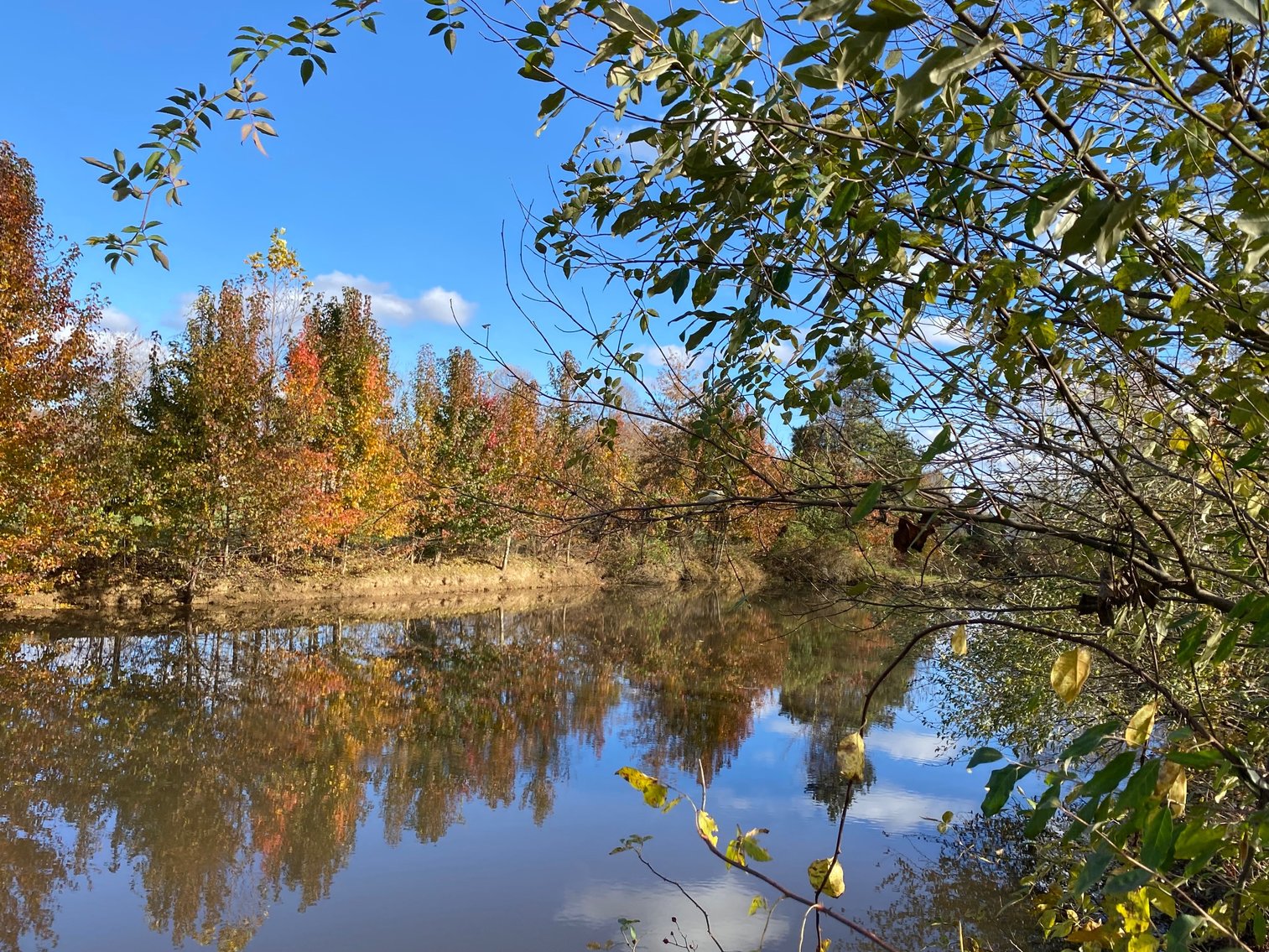 Image for SOLD $165,000 - 28 Acres with 3-Bedroom Home, Barn, & Pond