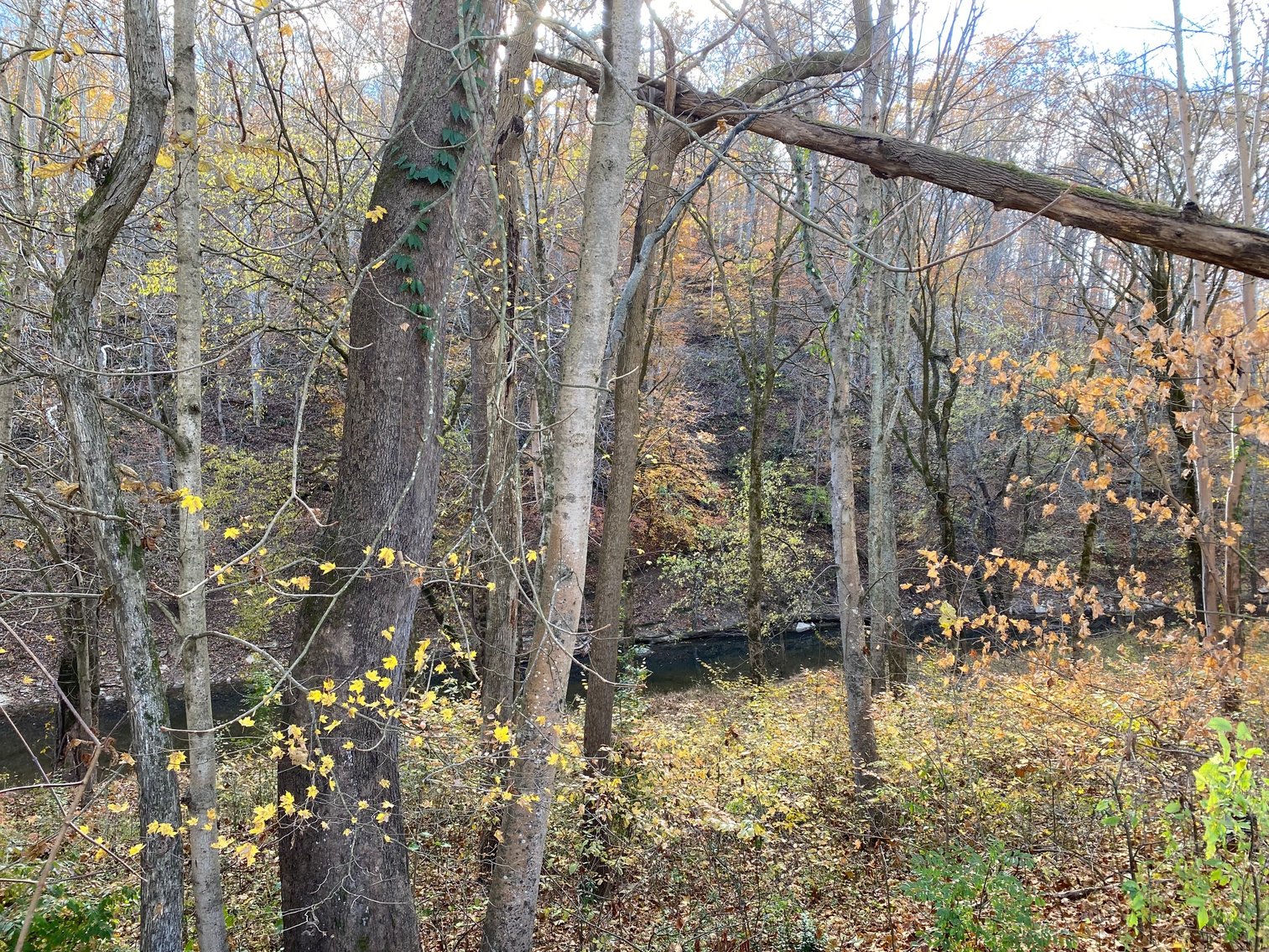 Image for SOLD $165,000 - 28 Acres with 3-Bedroom Home, Barn, & Pond