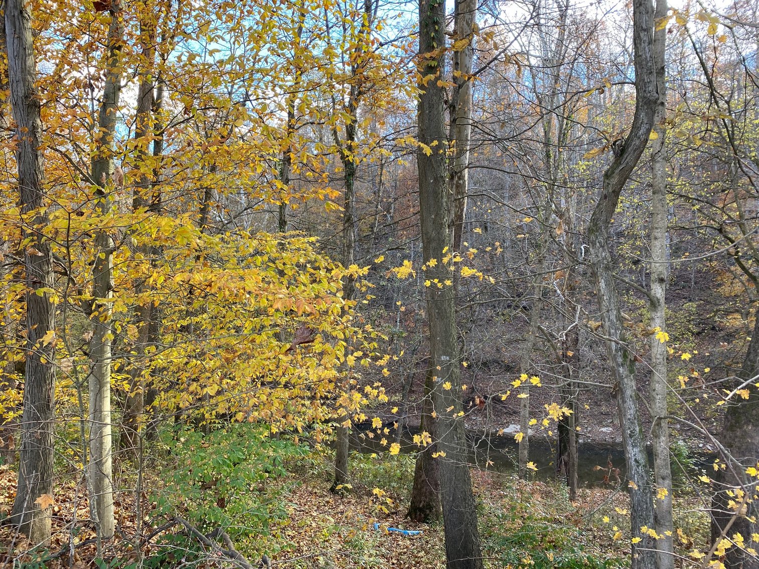 Image for SOLD $165,000 - 28 Acres with 3-Bedroom Home, Barn, & Pond