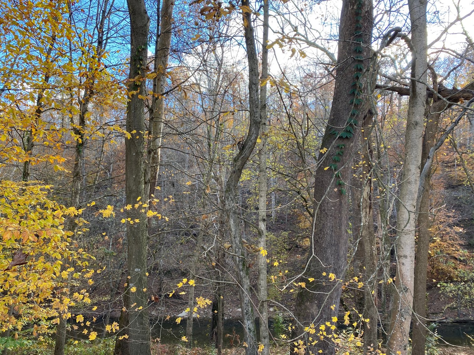 Image for SOLD $165,000 - 28 Acres with 3-Bedroom Home, Barn, & Pond