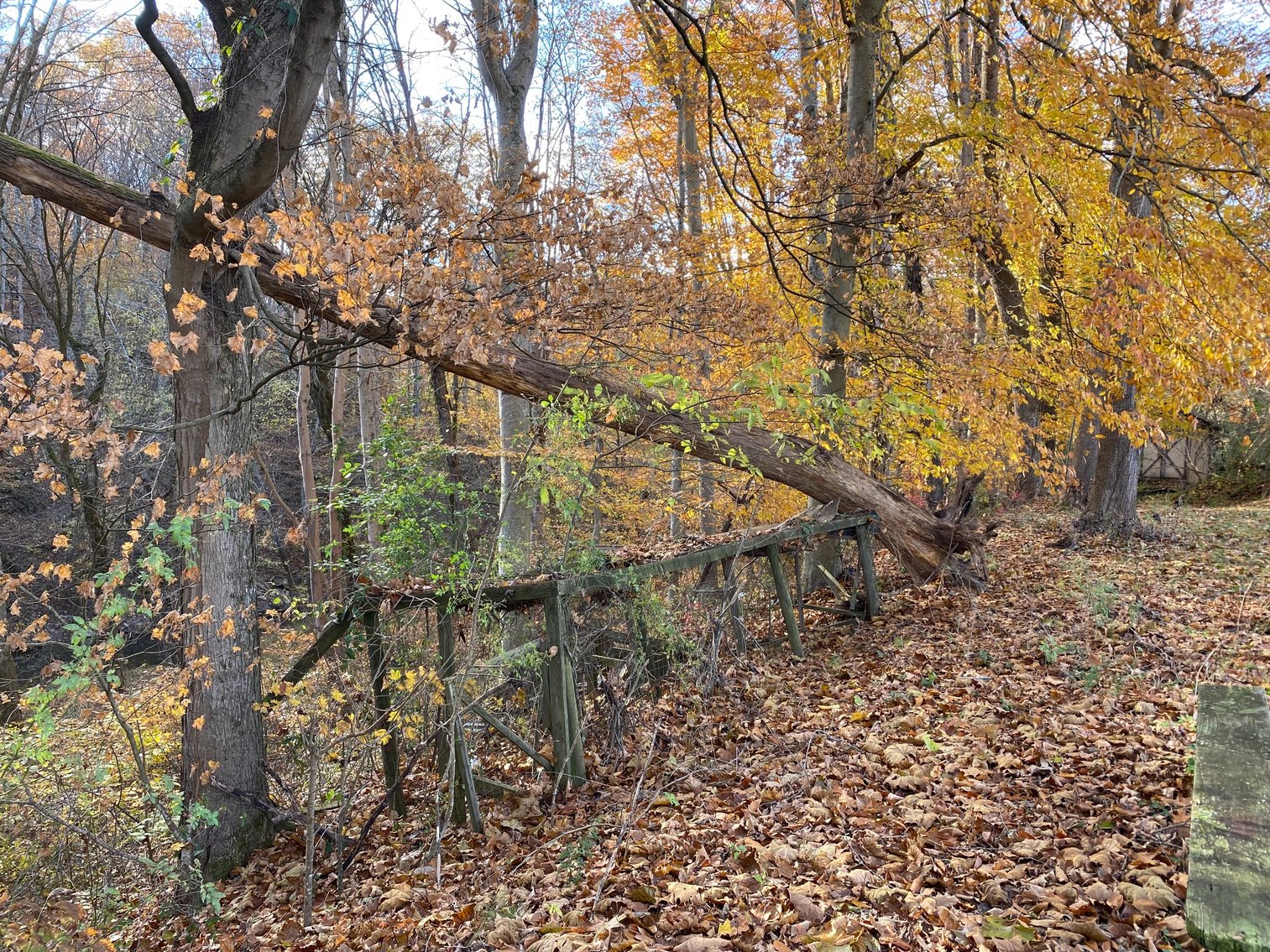 Image for SOLD $165,000 - 28 Acres with 3-Bedroom Home, Barn, & Pond