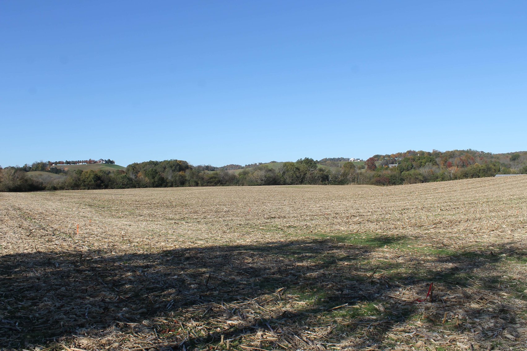 Image for 1677 Oscar Crowell Road, Beechgrove