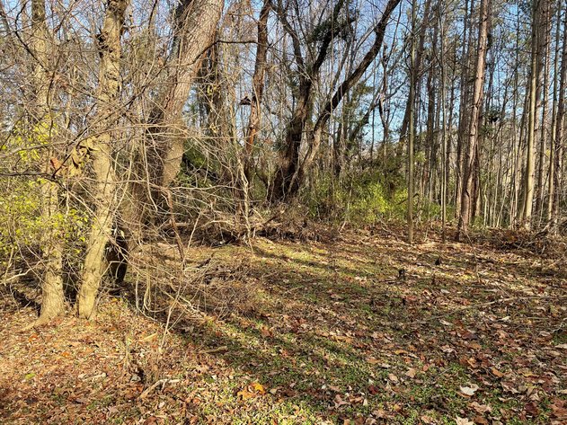 Image for Real Estate Auction Near The New River