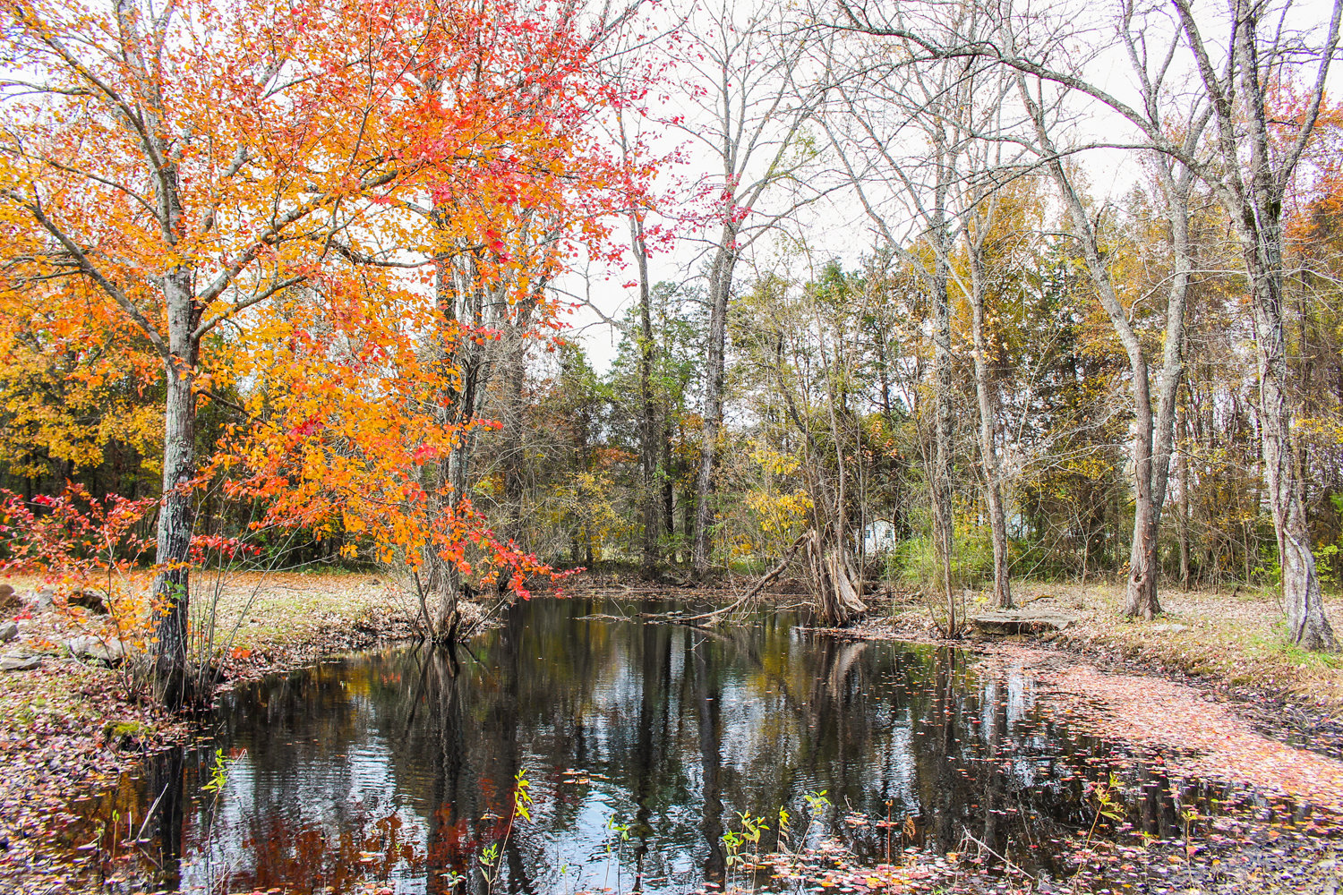 Image for 3612 Woodbury Pike, Murfreesboro